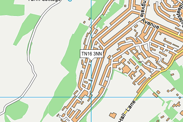 TN16 3NN map - OS VectorMap District (Ordnance Survey)