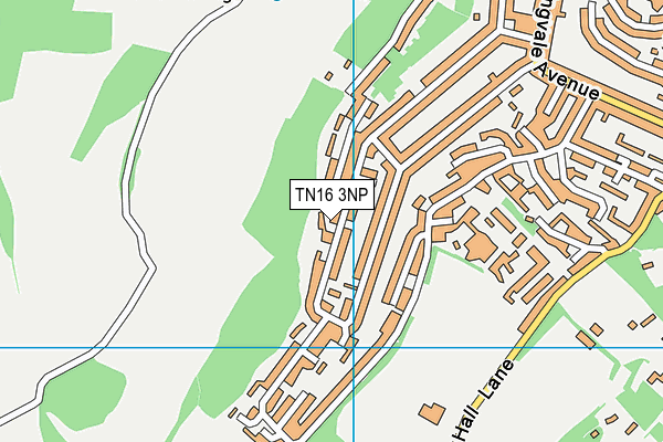 TN16 3NP map - OS VectorMap District (Ordnance Survey)