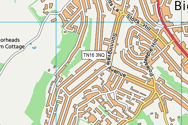 TN16 3NQ map - OS VectorMap District (Ordnance Survey)
