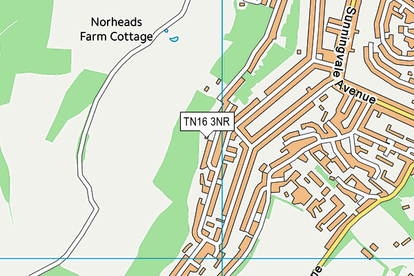 TN16 3NR map - OS VectorMap District (Ordnance Survey)
