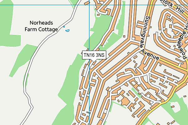 TN16 3NS map - OS VectorMap District (Ordnance Survey)