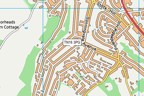 TN16 3PG map - OS VectorMap District (Ordnance Survey)