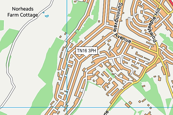 TN16 3PH map - OS VectorMap District (Ordnance Survey)