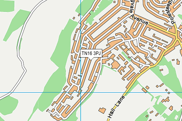 TN16 3PJ map - OS VectorMap District (Ordnance Survey)