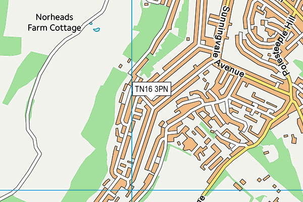 TN16 3PN map - OS VectorMap District (Ordnance Survey)