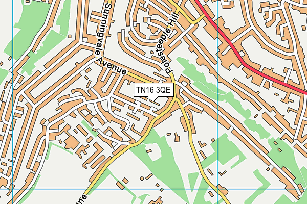 TN16 3QE map - OS VectorMap District (Ordnance Survey)