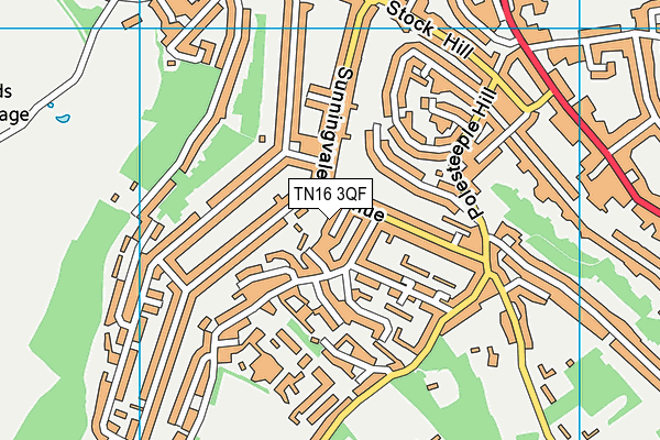 TN16 3QF map - OS VectorMap District (Ordnance Survey)