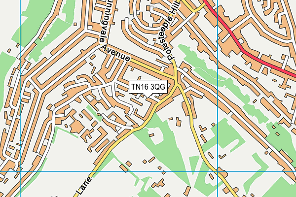 TN16 3QG map - OS VectorMap District (Ordnance Survey)