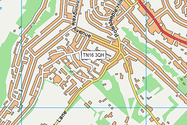 TN16 3QH map - OS VectorMap District (Ordnance Survey)