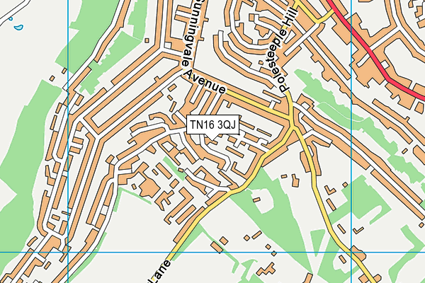 TN16 3QJ map - OS VectorMap District (Ordnance Survey)