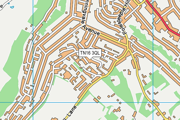 TN16 3QL map - OS VectorMap District (Ordnance Survey)