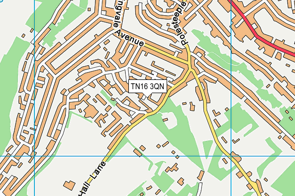 TN16 3QN map - OS VectorMap District (Ordnance Survey)