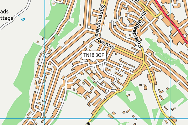 TN16 3QP map - OS VectorMap District (Ordnance Survey)