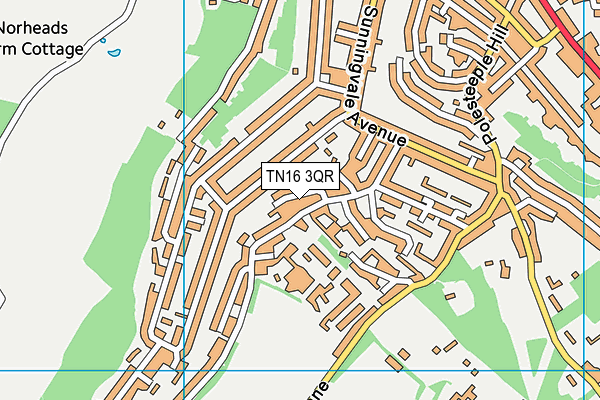 TN16 3QR map - OS VectorMap District (Ordnance Survey)