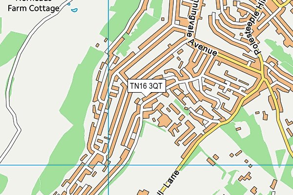 TN16 3QT map - OS VectorMap District (Ordnance Survey)