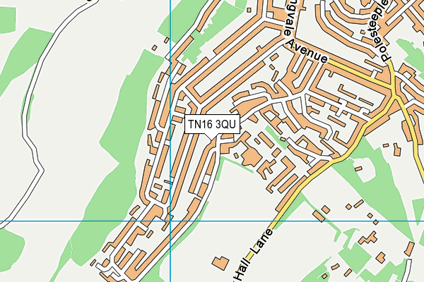 TN16 3QU map - OS VectorMap District (Ordnance Survey)
