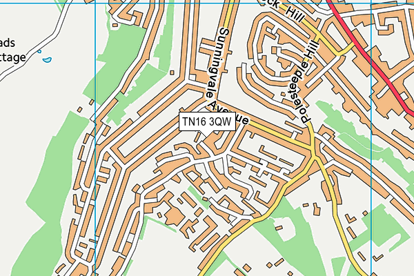 TN16 3QW map - OS VectorMap District (Ordnance Survey)