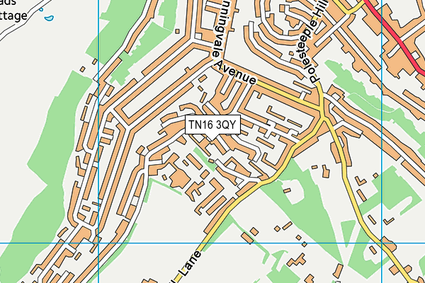 TN16 3QY map - OS VectorMap District (Ordnance Survey)
