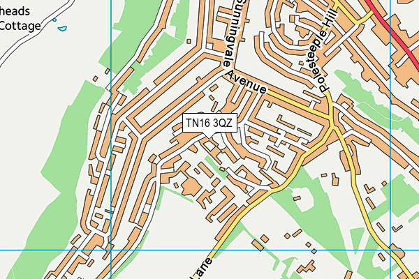 TN16 3QZ map - OS VectorMap District (Ordnance Survey)