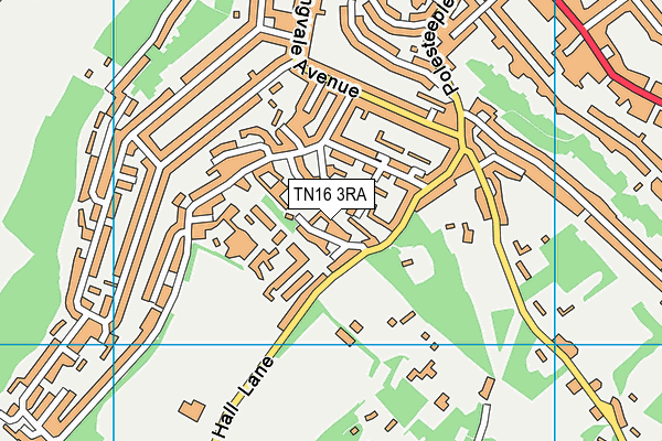TN16 3RA map - OS VectorMap District (Ordnance Survey)