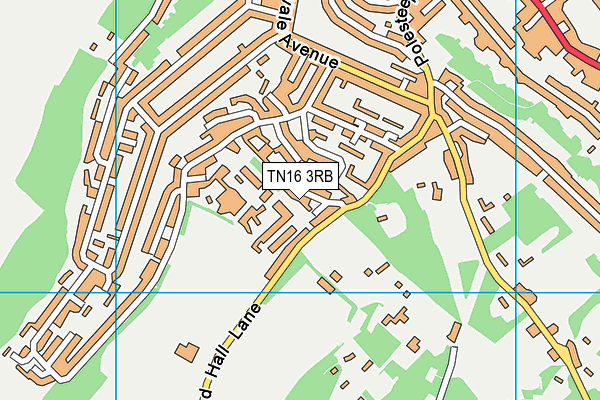TN16 3RB map - OS VectorMap District (Ordnance Survey)