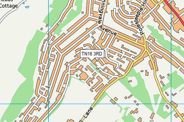 TN16 3RD map - OS VectorMap District (Ordnance Survey)