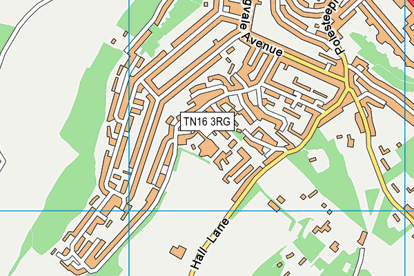 TN16 3RG map - OS VectorMap District (Ordnance Survey)