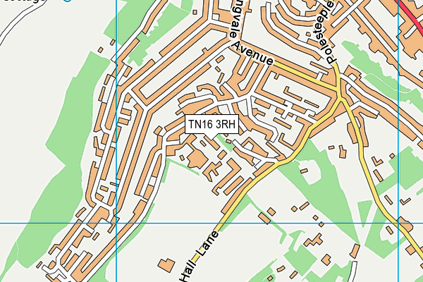 TN16 3RH map - OS VectorMap District (Ordnance Survey)
