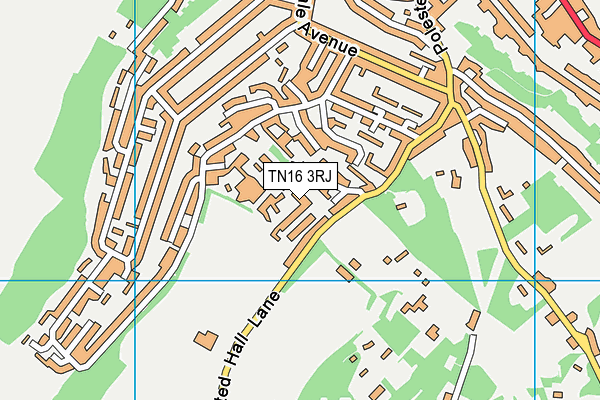 TN16 3RJ map - OS VectorMap District (Ordnance Survey)