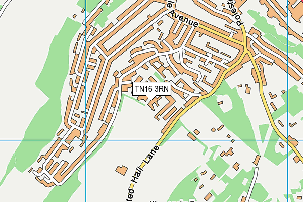 TN16 3RN map - OS VectorMap District (Ordnance Survey)