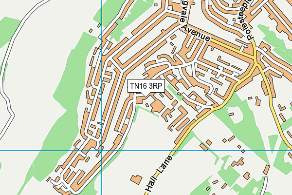 TN16 3RP map - OS VectorMap District (Ordnance Survey)