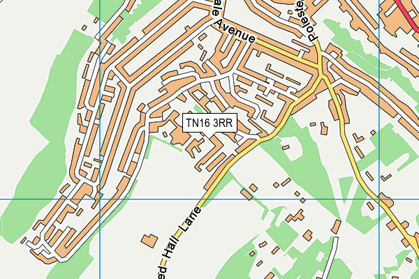 TN16 3RR map - OS VectorMap District (Ordnance Survey)