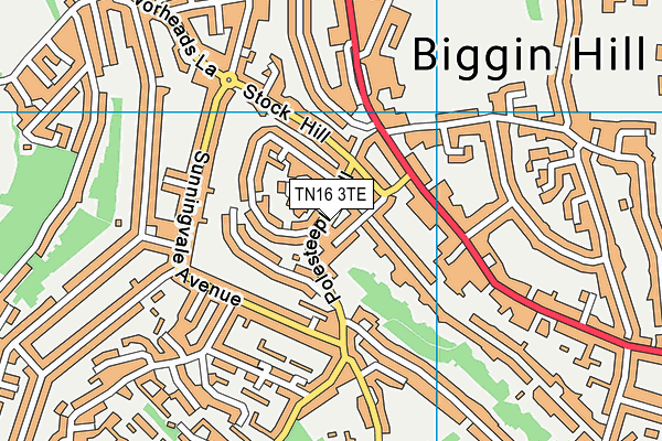 TN16 3TE map - OS VectorMap District (Ordnance Survey)