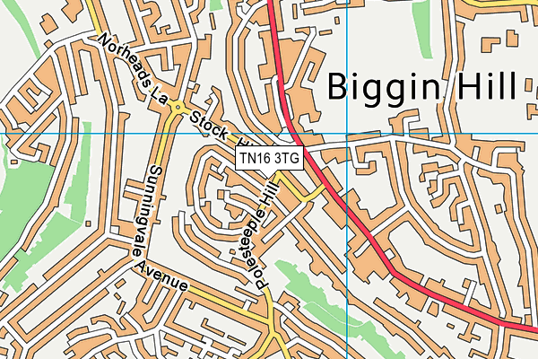 TN16 3TG map - OS VectorMap District (Ordnance Survey)