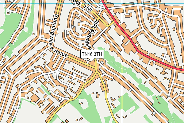 TN16 3TH map - OS VectorMap District (Ordnance Survey)