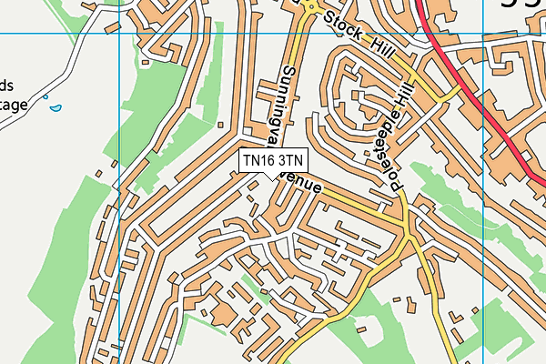TN16 3TN map - OS VectorMap District (Ordnance Survey)