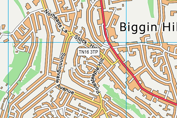 TN16 3TP map - OS VectorMap District (Ordnance Survey)