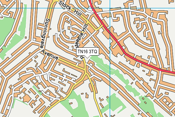 TN16 3TQ map - OS VectorMap District (Ordnance Survey)