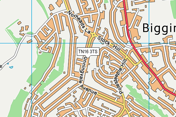 TN16 3TS map - OS VectorMap District (Ordnance Survey)