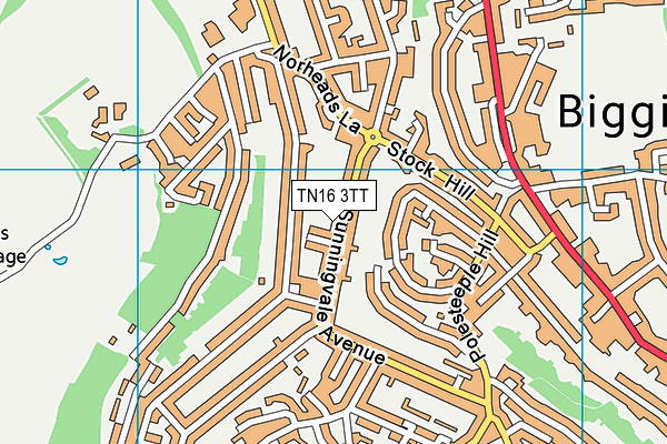 TN16 3TT map - OS VectorMap District (Ordnance Survey)