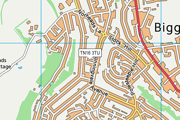 TN16 3TU map - OS VectorMap District (Ordnance Survey)