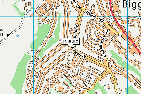 TN16 3TX map - OS VectorMap District (Ordnance Survey)