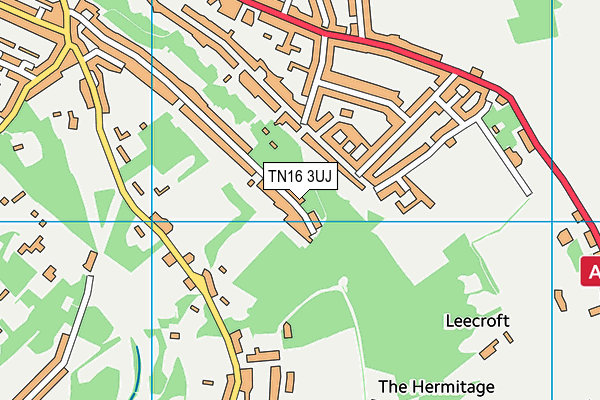 TN16 3UJ map - OS VectorMap District (Ordnance Survey)