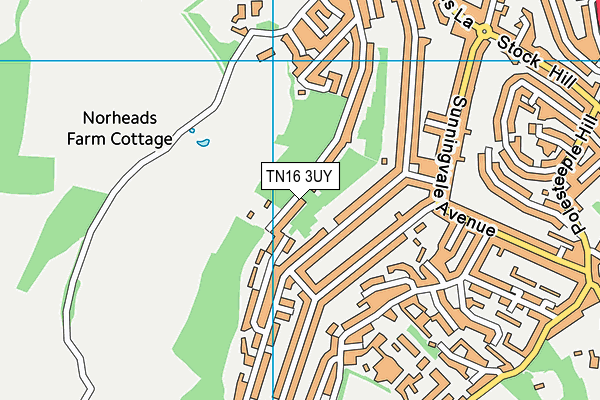 TN16 3UY map - OS VectorMap District (Ordnance Survey)