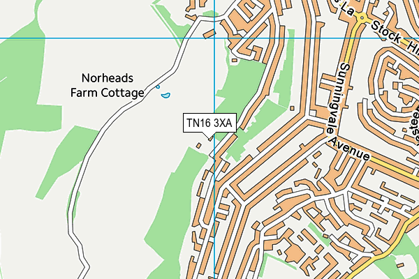 TN16 3XA map - OS VectorMap District (Ordnance Survey)