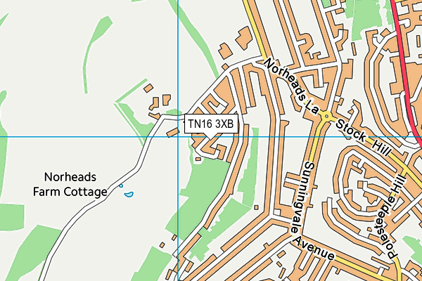 TN16 3XB map - OS VectorMap District (Ordnance Survey)