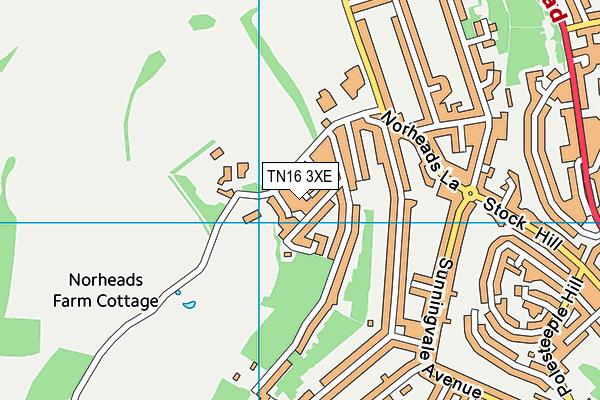 TN16 3XE map - OS VectorMap District (Ordnance Survey)
