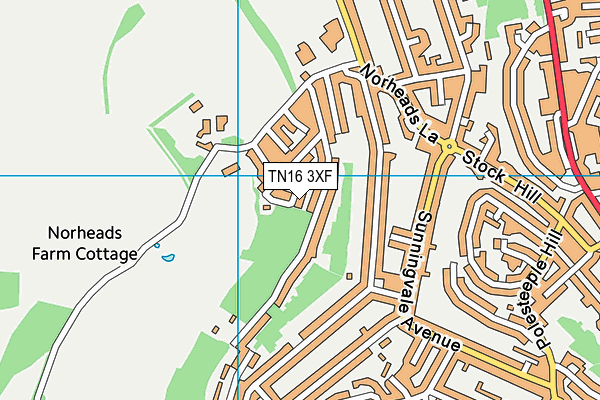 TN16 3XF map - OS VectorMap District (Ordnance Survey)