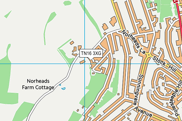 TN16 3XG map - OS VectorMap District (Ordnance Survey)