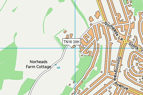 TN16 3XH map - OS VectorMap District (Ordnance Survey)